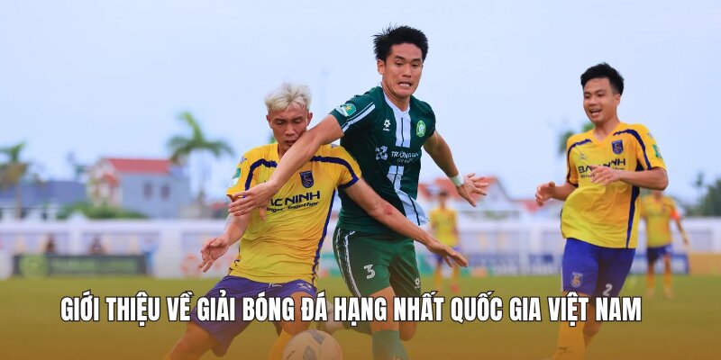Giới thiệu về Giải bóng đá Hạng Nhất Quốc Gia Việt Nam 